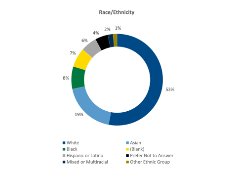 Ring chart showing race/ethnicity statistics